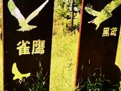 -绿堤公园