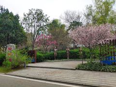 -武汉园博园(武汉自然博物馆)