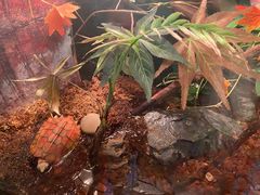 -上海海洋水族馆