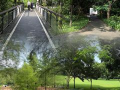 -莲花山公园