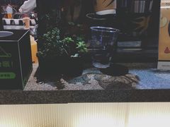 -BeauTea水仙(coco park店)