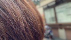-潘多拉Hairsalon