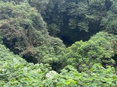 -海口火山口国家地质公园