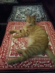 android_upload_pic-汉刺青TATTOO STUDIO