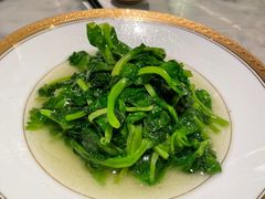 -蝶园·装修中(BFC外滩金融中心店)