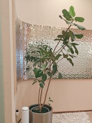 -AIST爱思特医疗美容医院