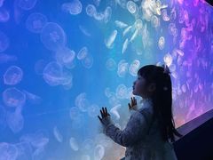 -左海海底世界