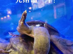 -王捌小院(红花坡店)