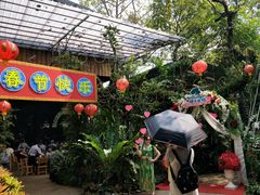 -绿光森林餐厅