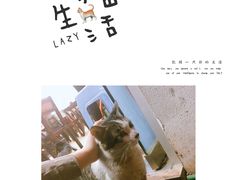 -无招牌