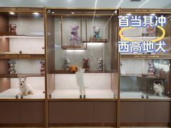 -翊宠yipet猫狗购宠庄园