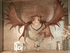 -秃鹫湾·推理大师沉浸式实景演绎推理剧场