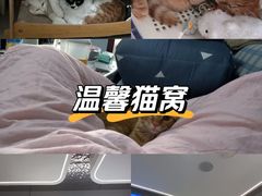 -pd派德宠物中心医院24H急重症·眼科中心·血液透析中心(嵩山北路店)