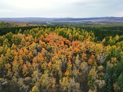 -塞罕坝国家级自然保护区