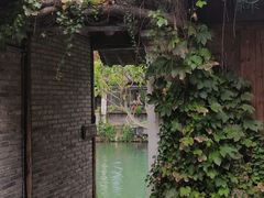 -乌镇景区