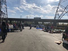 -中环花鸟鱼虫市场