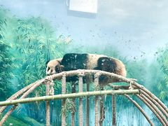-杭州动物园