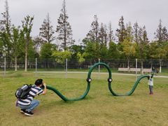 -上海长兴岛郊野公园