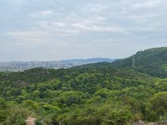 -灵岩山风景区