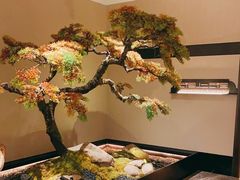 -湘上湘(米其林餐厅-正大中心总店)