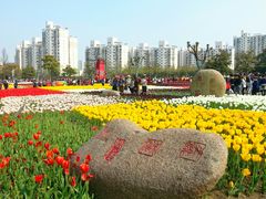 -大宁公园
