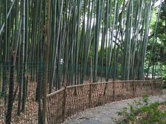 -汇龙潭