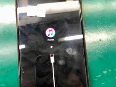 -Apple Store苹果手机电脑售后维修中心(浦东店)