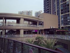 -黑龙茶(美吉特店)