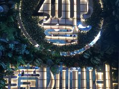 -ZING COFFEE 镜咖啡