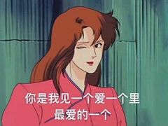 -九府羊·鲜羊火锅·烤串(新华路店)