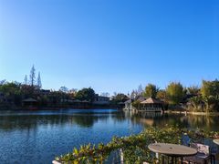 -抚仙湖万达文华酒店