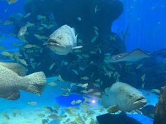 -成都浩海立方海洋公园