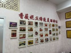 -香薇妮丝·定制减肥·身材管理