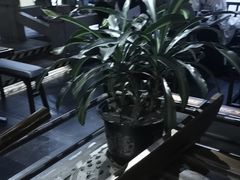 -绿茶餐厅(哈尔滨凯德店)