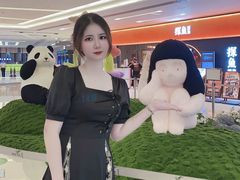 -岭南站NOVA