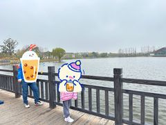 -上海长兴岛郊野公园