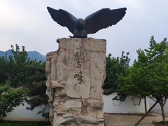 -北京鹫峰国家森林公园