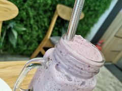 -VEGA VEGA 我行我素
