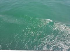 -仙海旅游度假区