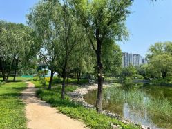 -北京新世纪妇幼医院·产检·分娩·计生(望京院区)