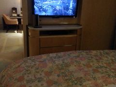 20140308_205808-上海浦东丽思卡尔顿酒店