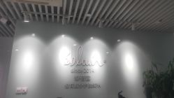 -黎蓓露·徒手骨雕蛋白抗衰·调肤管理