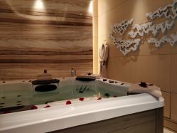 -珠海瑞吉酒店·铱瑞水疗