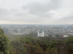 -杭州半山国家森林公园