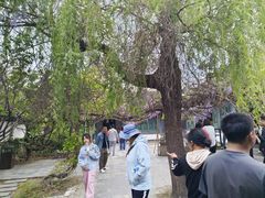 -王家大院