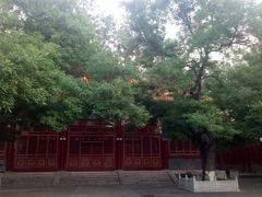 -中央音乐学院歌剧音乐厅