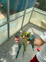 -萌宠亲子动物乐园(槐房万达店)