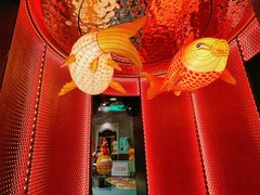 -肥福排档(星光店)