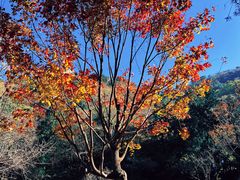 -香山公园