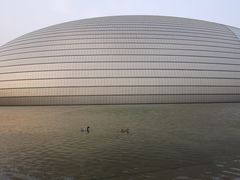 -国家大剧院西餐厅